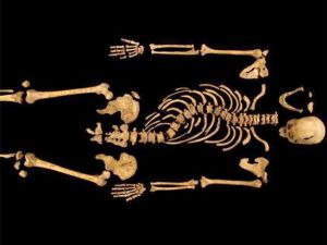 scientists-confirm-a-500-year-old-skeleton-is-of-king-richard-iii